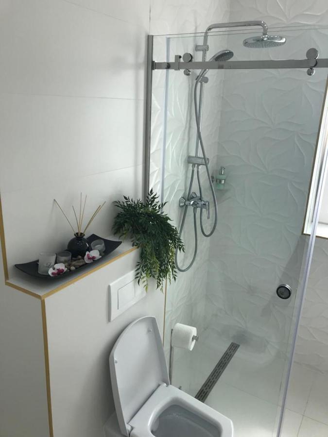 Victoria Luxury Apartment 11 Бухарест Екстер'єр фото